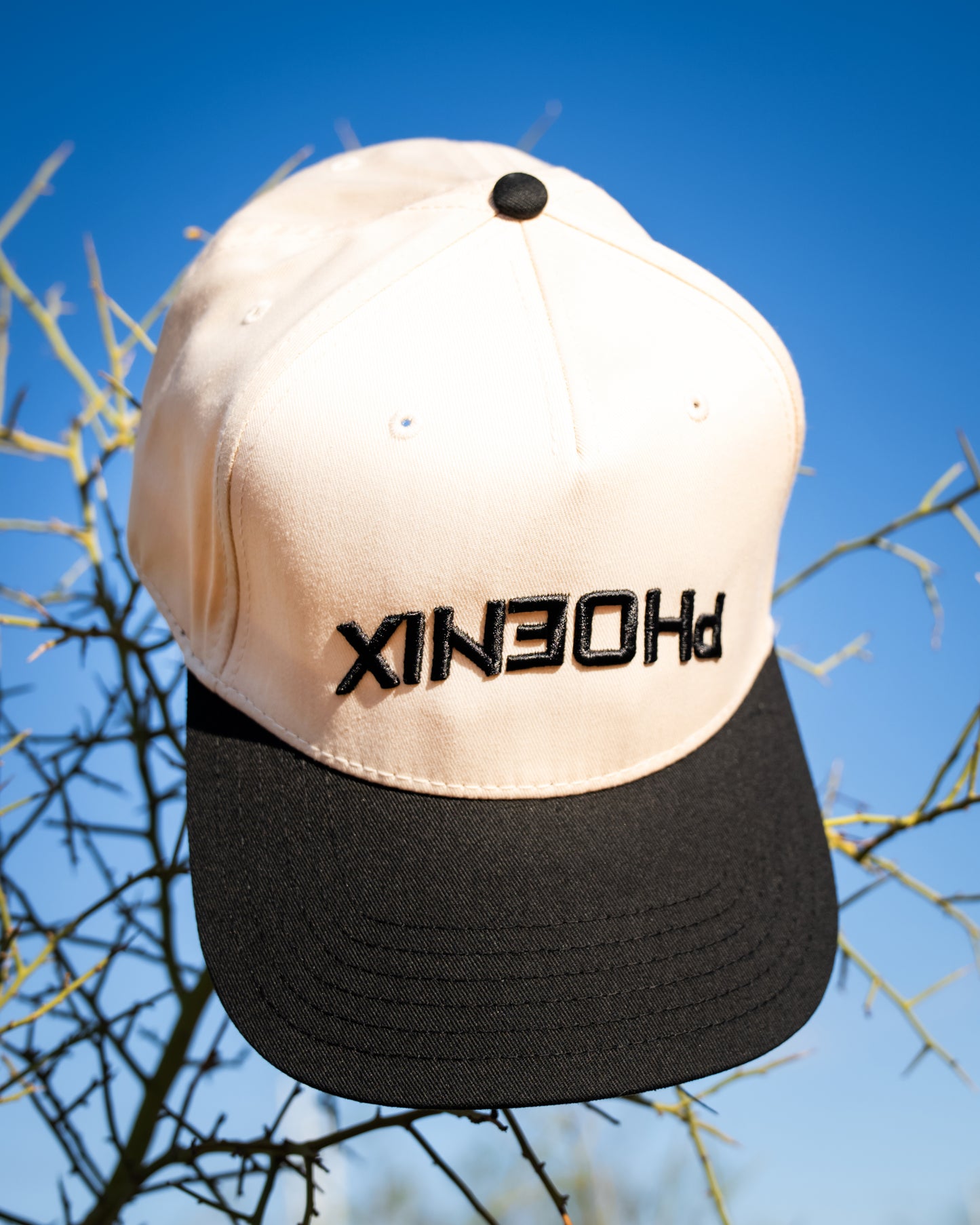 Phoenix | Off-White